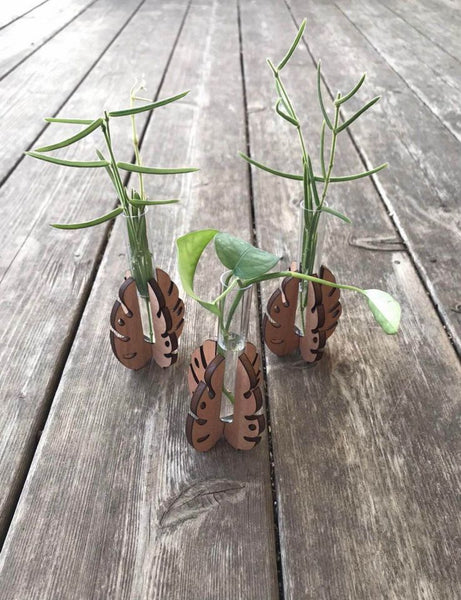 Monstera Leaf Propagation Stand/Vase